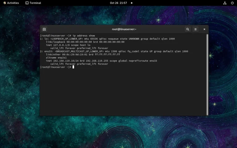 ip address show