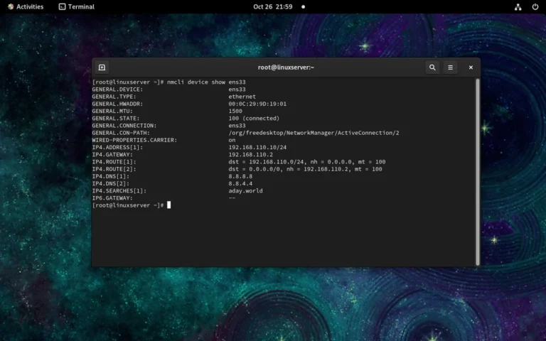ip address show